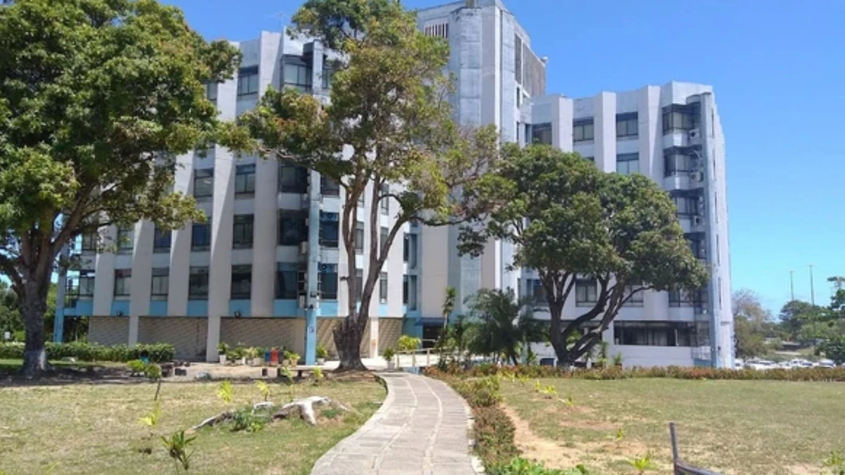 Inema é repsonsável por