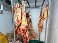 Imagem - Vigilância Sanitária recolhe mais de uma tonelada de carnes em abate clandestino na Bahia