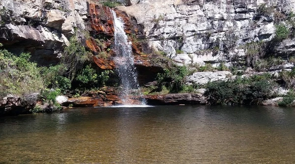 Piatã por Reprodução