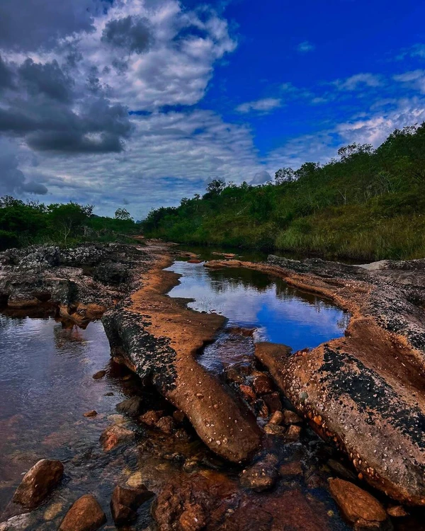 Piatã por Reprodução