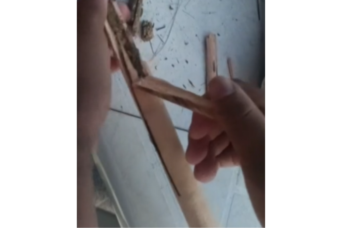 Valéria Nascimento Pereira foi presa por tráfico de drogas por Reprodução