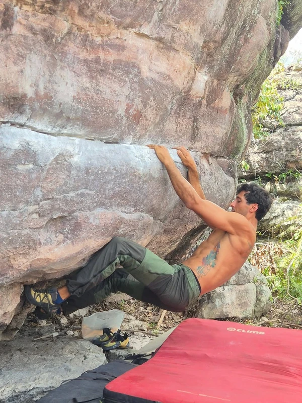  Igor Andreoni Barbabella de Oliveira por Reprodução