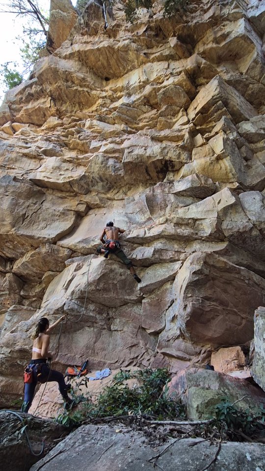  Igor Andreoni Barbabella de Oliveira por Reprodução