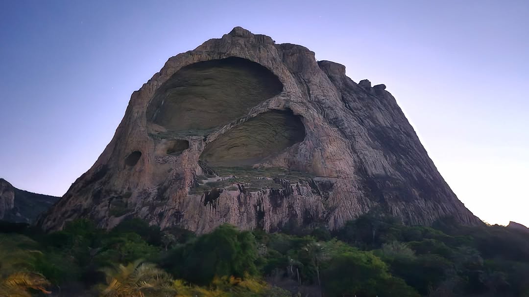 Igor Andreoni Barbabella de Oliveira por Reprodução