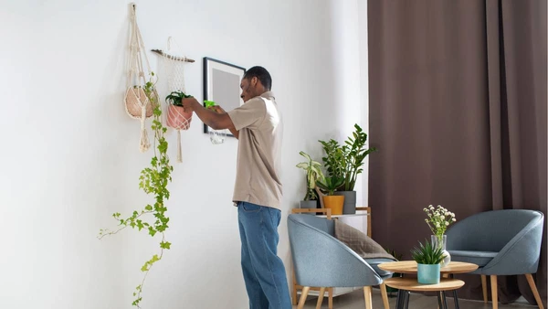  O sucesso não é só pela beleza, mas pela forma inteligente como adapta a natureza à rotina urbana
