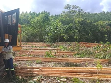 Imagem - Bracell abre inscrições para curso gratuito de operador(a) de máquina de colheita