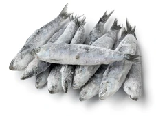 Imagem - Anvisa manda recolher lote de sardinha por contaminação por Salmonella