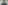 Imagem - Diretor da Pólen debate mercado de carbono no ESG Fórum Bahia e oportunidades para o Nordeste