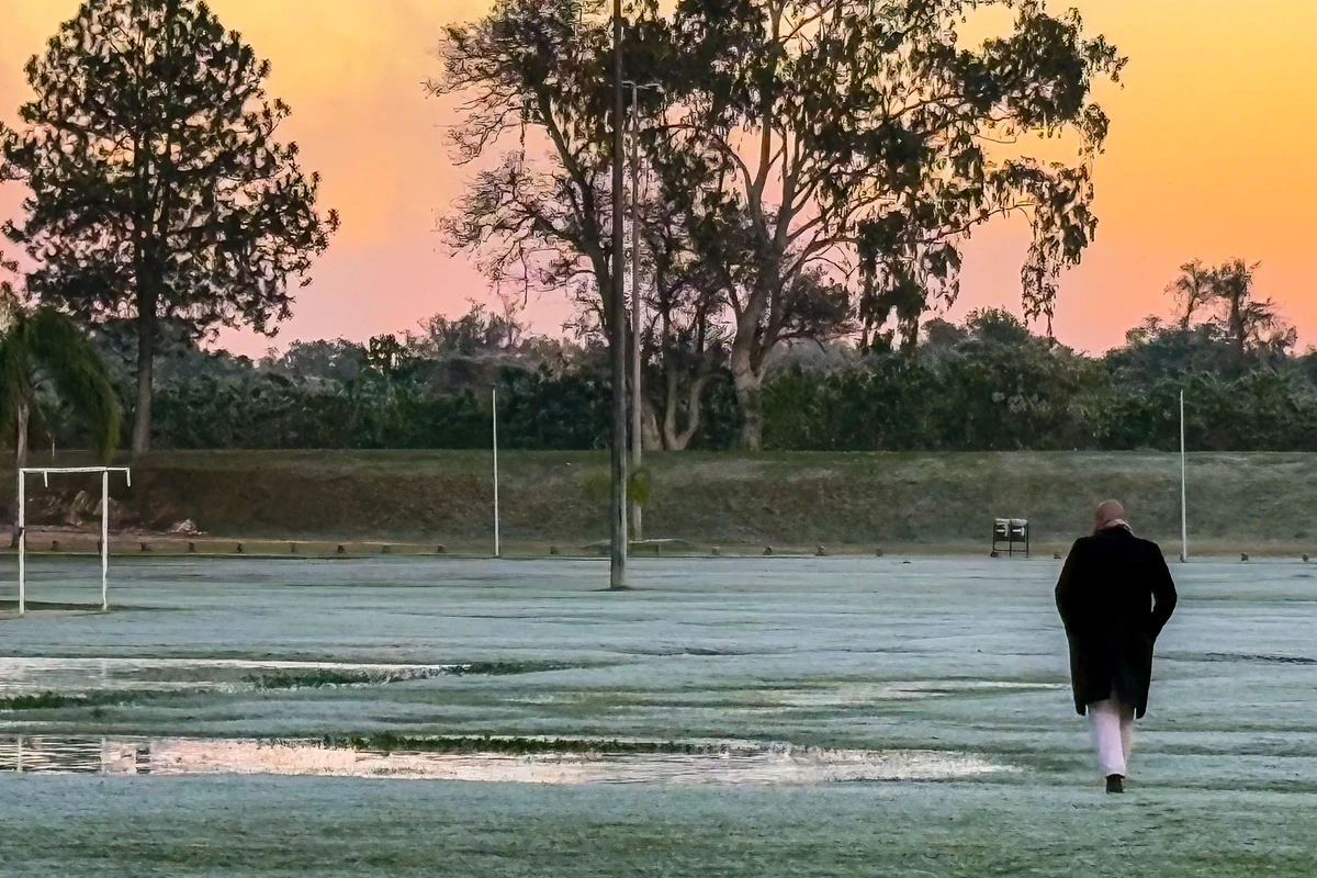 Cidades do Paraná tiveram geada