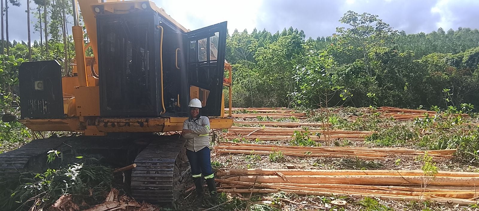 Bracell abre inscrições para curso gratuito de operador(a) de máquina de colheita