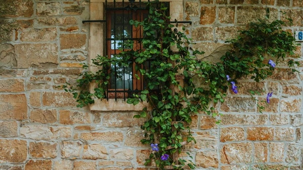 Pequena, versátil e cada vez mais presente nos apartamentos por Pexels