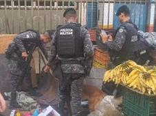 Imagem - Xepa das drogas: maconha escondida em barraca de frutas é apreendidas em Salvador por cão farejador