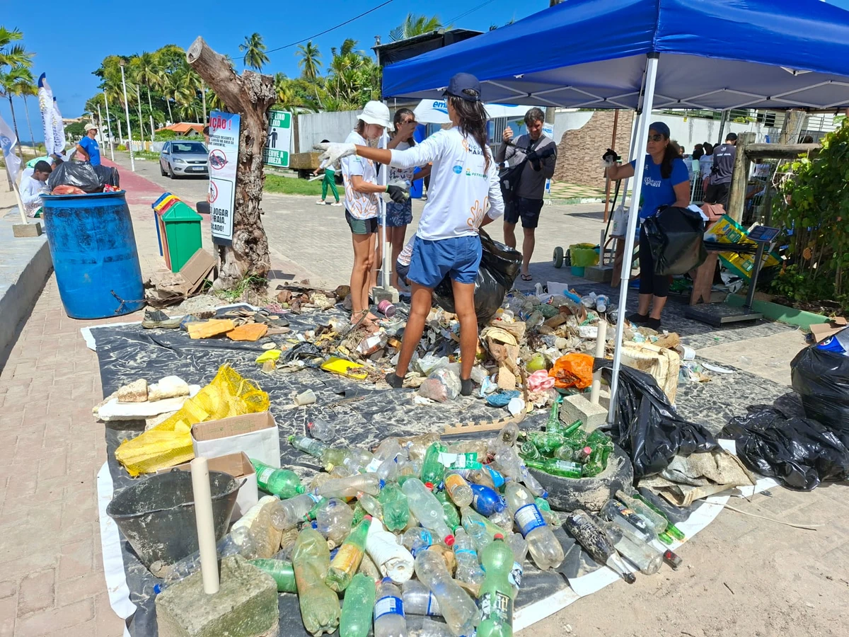 Iniciativa do Projeto Mares mobiliza comunidade escolar e mergulhadores para limpeza da faixa de areia e do ambiente subaquático