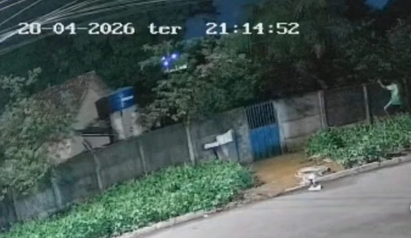 Pitbull é morto ao defender tutor de ataque dentro da própria casa; suspeito foi preso com marcas de mordida