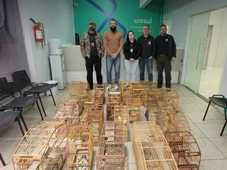 Imagem - Mais de 20 aves silvestres são encontradas em cativeiro com sinais de maus-tratos