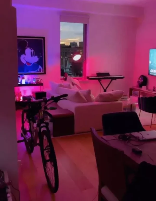 Apartamento de Luciana Gimenez por Reprodução