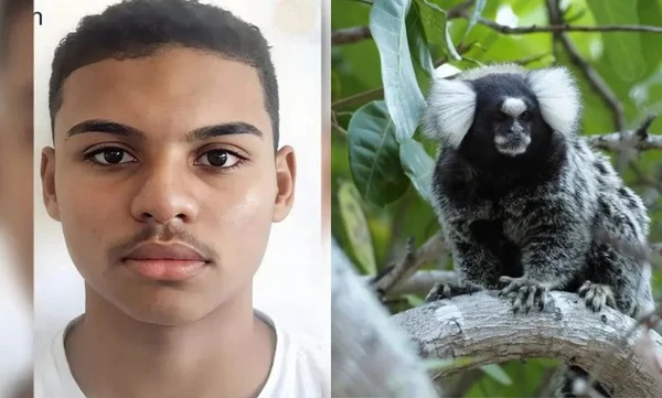 Marlon Kaik da Silva: raiva humana provocou morte morte de adolescente após mordida de sagui 