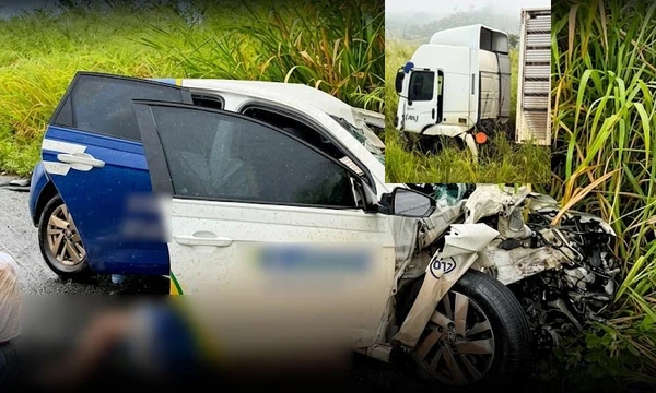 Carro bateu contra caminhão por Reprodução