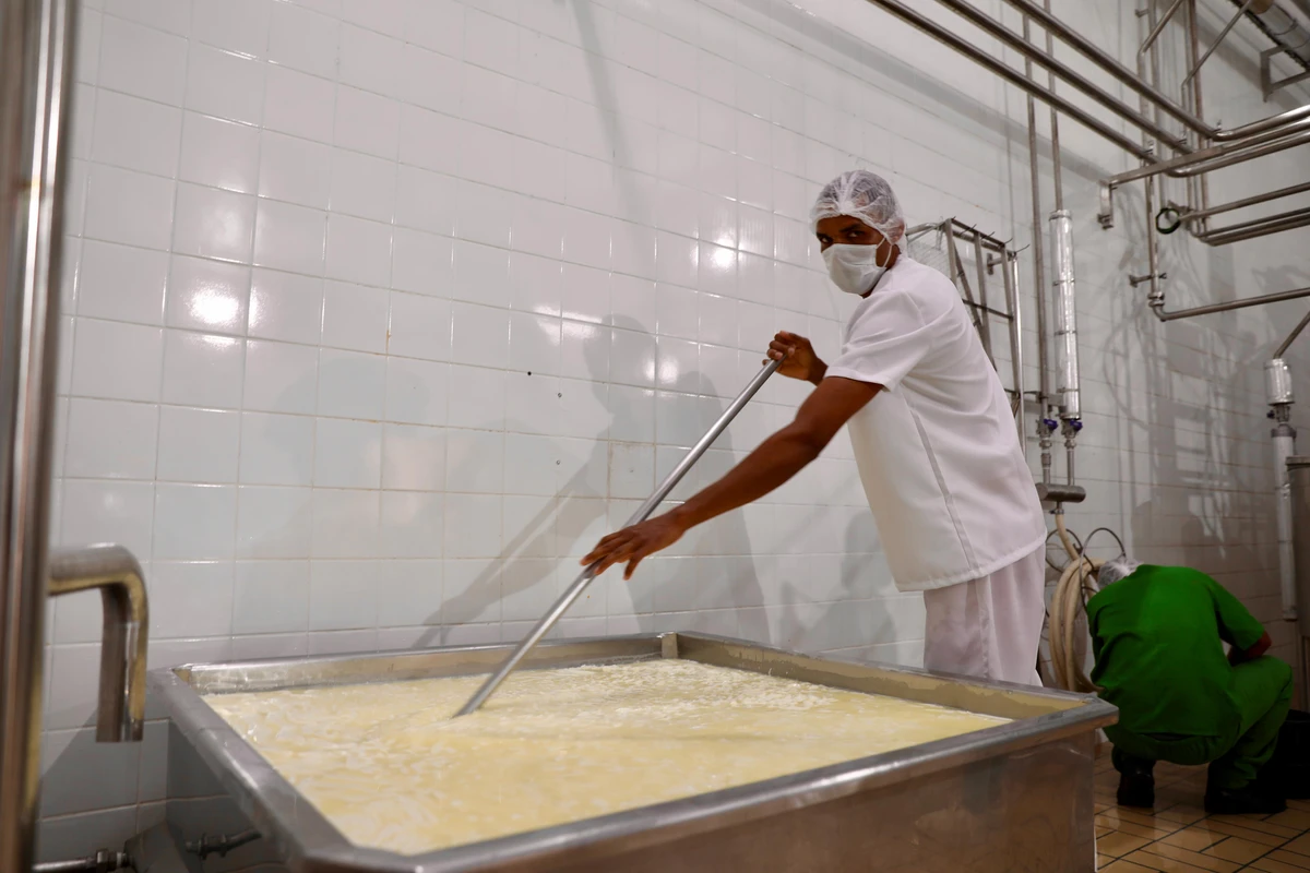 Aposta é posicionar a produção familiar baiana no mercado de queijos especiais, um nicho dominado por outras regiões do país.  por Marcílio Cerqueira/Ascom CAR