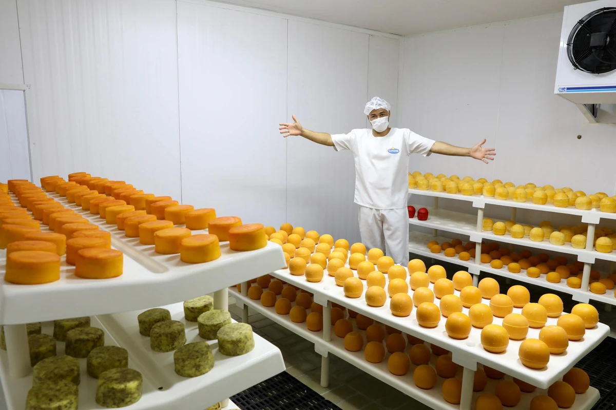 Com capacidade para processar até 20 mil litros por dia, a agroindústria aposta em queijos especiais — como reino, saint paulin, minas padrão e versões temperadas  por Marcílio Cerqueira/Ascom CAR