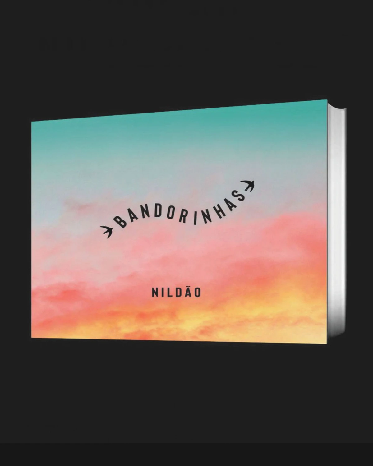 Poeta e cartunista Nildão promove lançamento do seu livro 'Bandorinhas', em Salvador por Divulgação