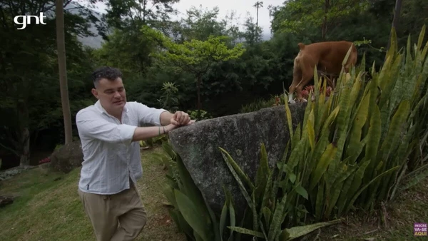 Autor de Avenida Brasil vive em sítio cercado por natureza, memórias e rotina em família por Reprodução
