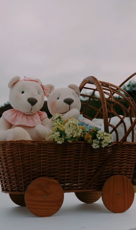 Bianca Biancardi faz chá revelação no próprio casamento por Reprodução/Instagram