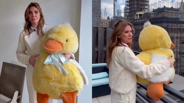 Luciana Gimenez mostra apartamento em Nova York com o filho e vista privilegiada por Reprodução
