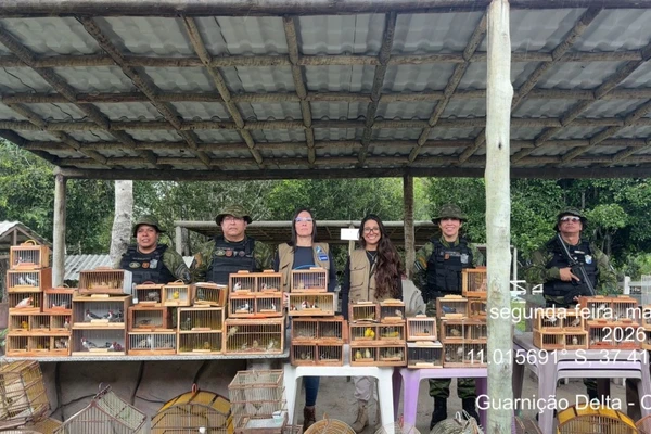 Mais de 150 aves silvestres são resgatadas em feira livre por Divulgação