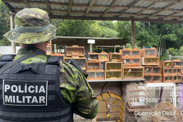 Mais de 150 aves silvestres são resgatadas em feira livre por Divulgação
