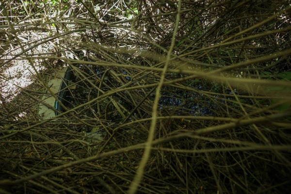 Mansão fica em condomínio localizado em uma área de luxo do Park Way, no DF por Luis Nova/Metrópoles