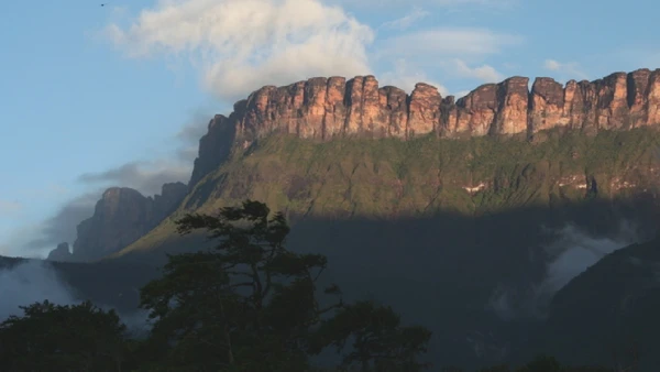 O Auyantepui é o paredão de onde nasce o Salto Ángel, em uma região marcada por montanhas de topo plano chamadas tepuis por Christoph Kühnhanss / Wikimedia Commons