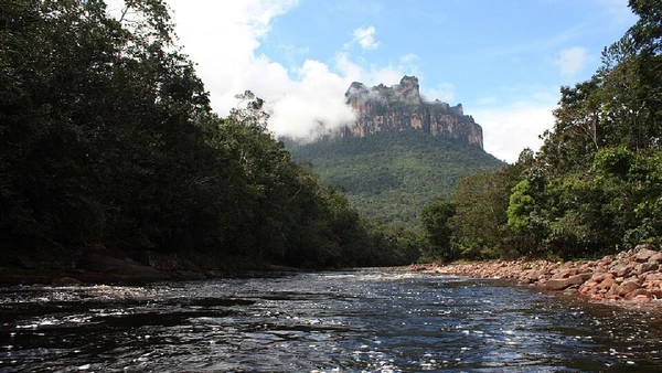 O caminho até o Salto Ángel passa por rios e mata, em uma viagem que combina navegação e caminhada dentro do parque por Eduardo Manchon / Wikimedia Commons