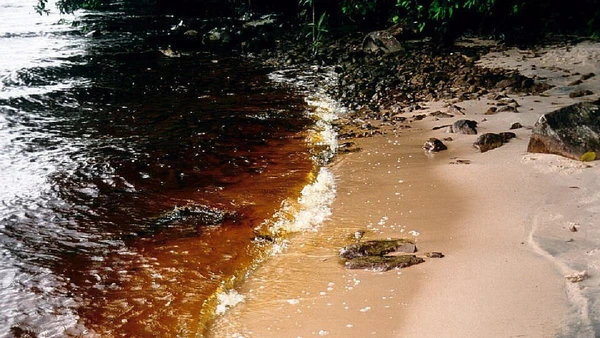 Registro feito das praias de água doce com 
