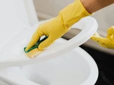 Imagem - Você está jogando gelo no vaso? O truque viral que parece estranho, mas tem detalhe que ninguém te conta