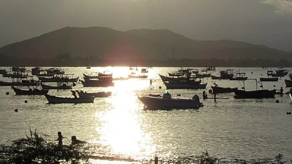 A Empresa de Pesquisa Agropecuária e Extensão Rural de Santa Catarina (Epagri) aponta que o litoral catarinense se tornou o principal polo brasileiro de moluscos bivalves.