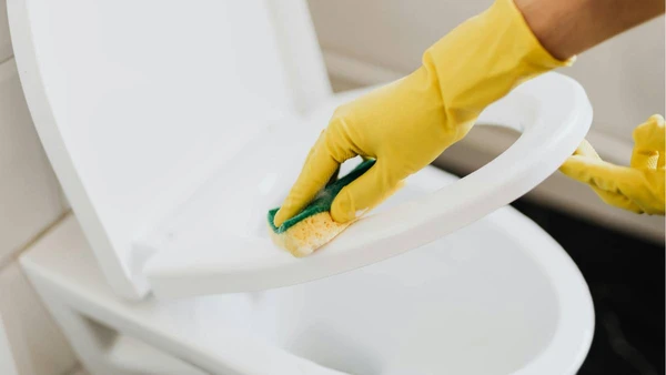 Simples, barato e rápido: entenda o que realmente acontece quando o gelo entra no vaso sanitário