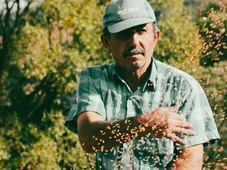 Imagem - Agricultores podem renegociar dívidas até dezembro de 2026