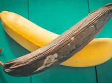 Imagem - Você está matando suas bananas sem saber: o truque de segundos que faz elas durarem muito mais