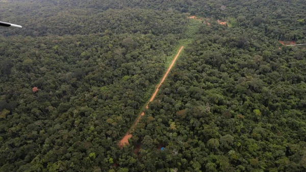 Das pistas mapeadas na Amazônia, 804 estão localizadas dentro de áreas protegidas, como Terras Indígenas e Unidades de Conservação. Chico Batata/Greenpeace por PRF
