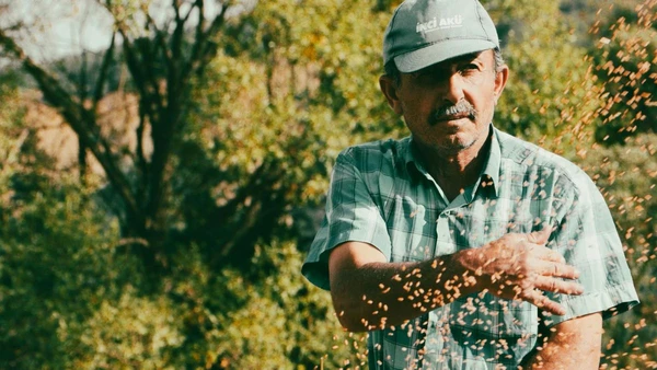 Com prazo ampliado, o Desenrola Rural surge como chance de recomeço para produtores endividados e de fôlego para a próxima safra