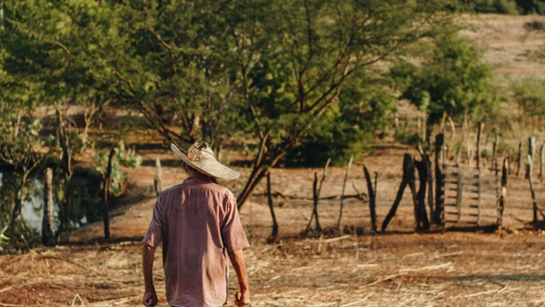 Endividamento ainda limita investimentos no campo; programa aposta na renegociação para destravar a próxima safra por Jefferson lucena, Pexels