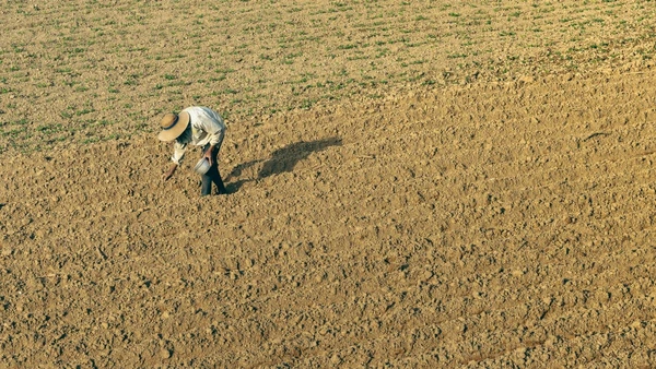 Medida tenta garantir fôlego financeiro para que produtores mantenham a produção e planejem a próxima safra por Tanphuc, Pexels