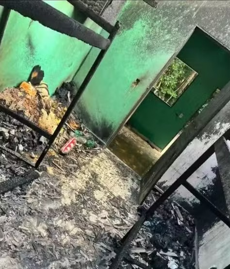 Explosão em colheita de café no Espírito Santo por Reprodução 
