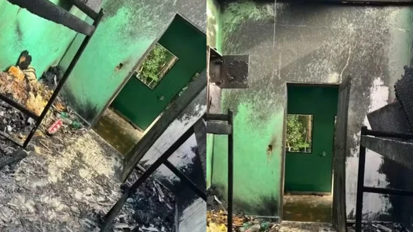 Explosão na colheita de café do Espírito Santo