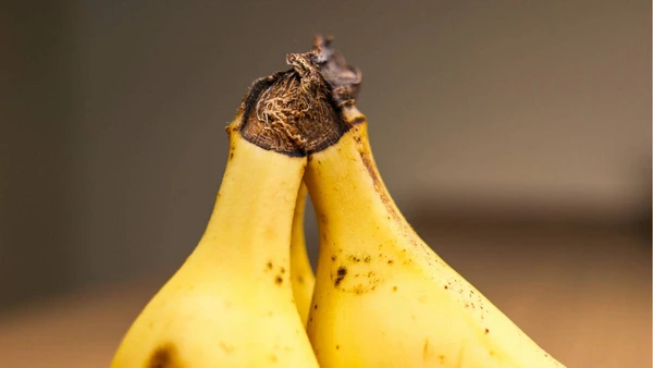 Tudo começa com um detalhe que quase ninguém presta atenção por Pexels