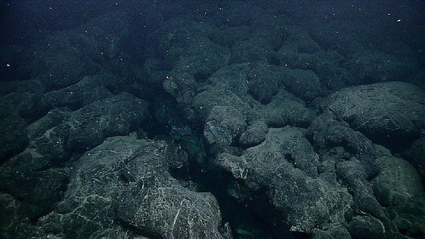 Zona de subducção em Cascadia é a primeira a ter seu processo de desintegração documentado de forma mais precisa