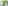Imagem - Relembre os jogadores do Brasil que apareceram no álbum da Copa mas não foram ao Mundial