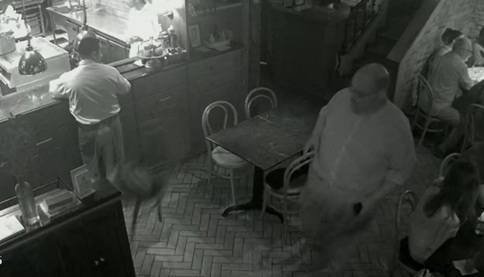 Vídeo mostra Ed Motta arremessando cadeira em restaurante no Rio de Janeiro por Reprodução