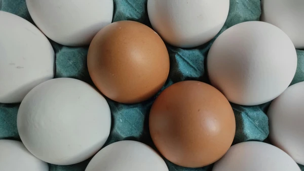 Dieta equilibrada pode ajudar na visão noturna, reduzir inflamações e proteger a retina por Pexels